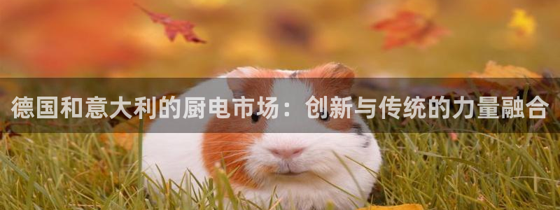 风暴官方娱乐