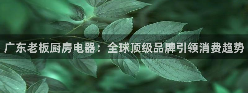 风暴娱乐开户
