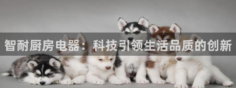 风暴英雄娱乐