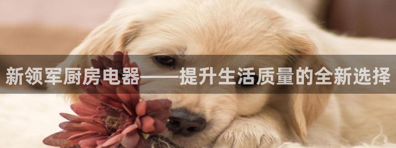风暴娱乐线路
