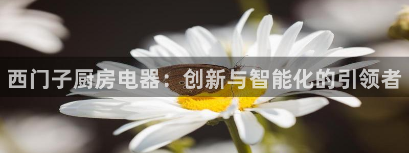 风暴娱乐记