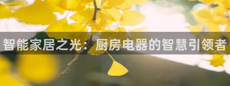 风暴娱乐首页