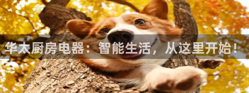 风暴娱乐园