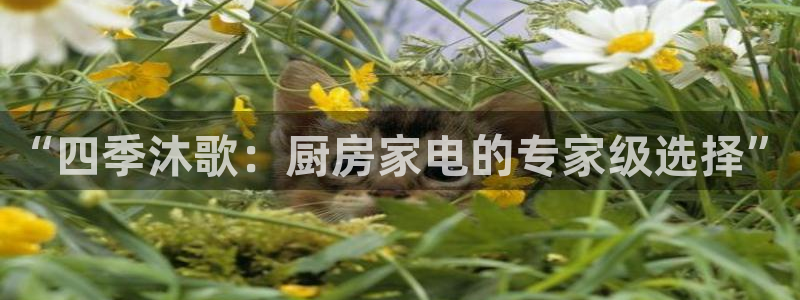 风暴娱乐派对