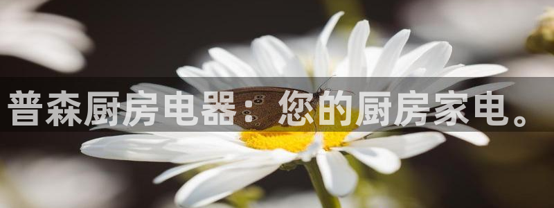 风暴娱乐月5指尖
