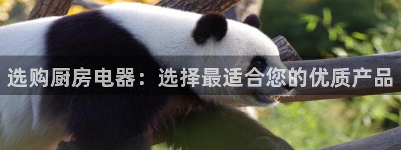 4120051风暴娱乐