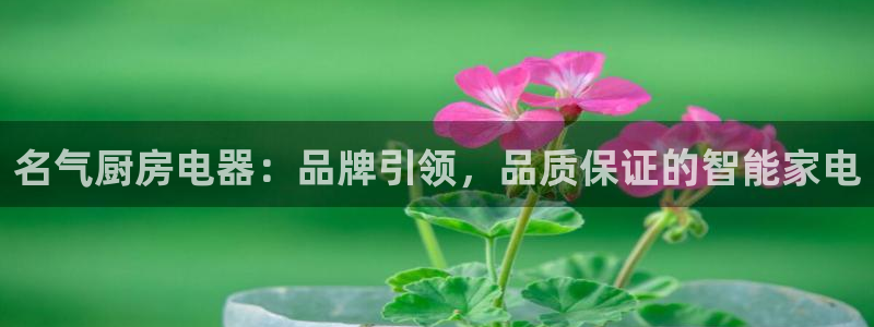娱乐风暴港