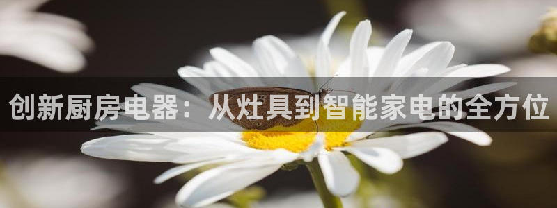 风暴娱乐1