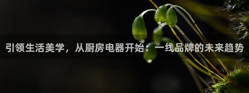 风暴娱乐线路