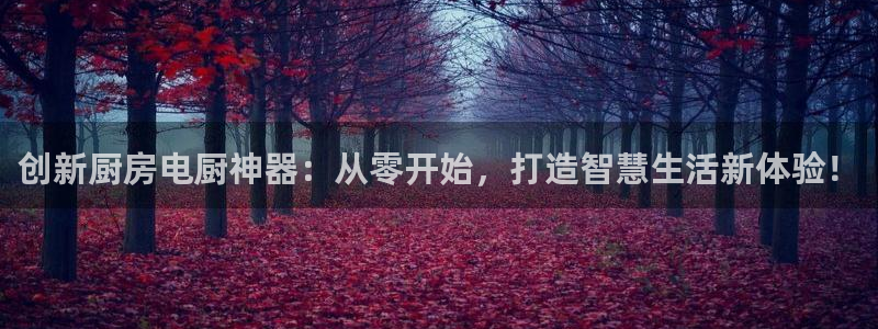 风暴娱乐点