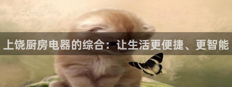 娱乐风暴2