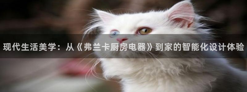 风暴娱乐汇