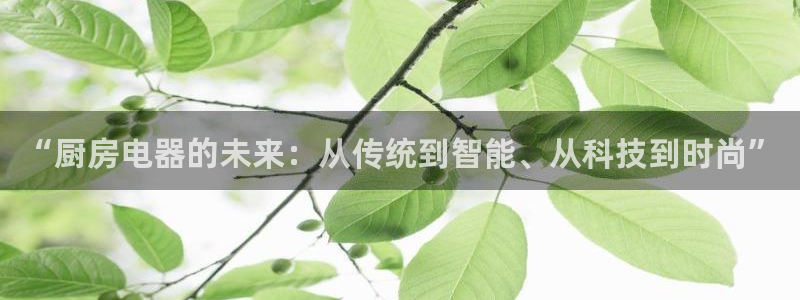 风暴娱乐左5指尖