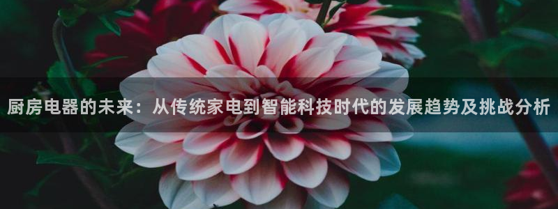 风暴娱乐上5指尖