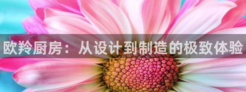 风暴娱乐主页