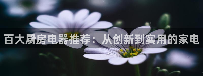 风暴娱乐套路