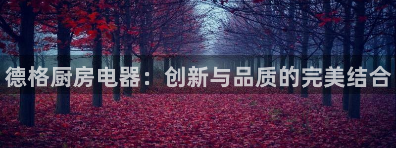 风暴娱乐下载