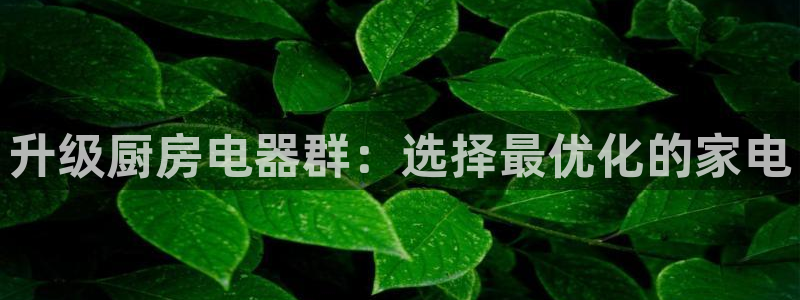 风暴娱乐线路