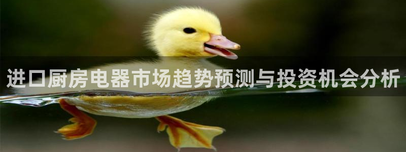 风暴娱乐月5指尖