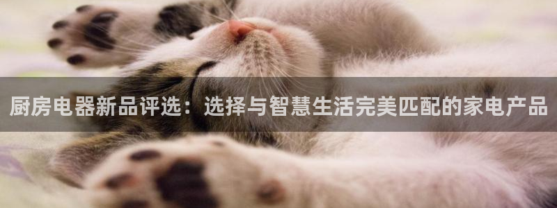 风暴娱乐