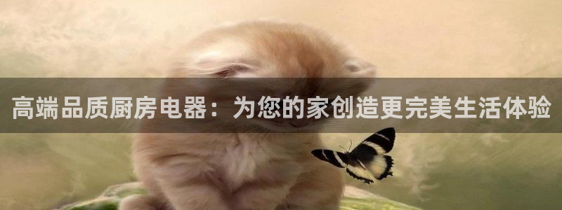 风暴娱乐有5指尖