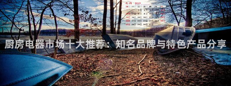 风暴娱乐官方网站