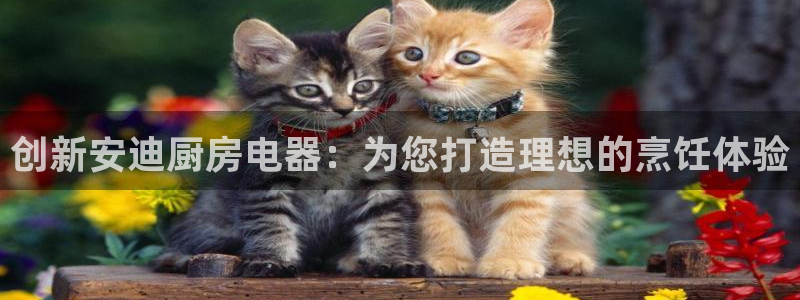 风暴娱乐求333OOf