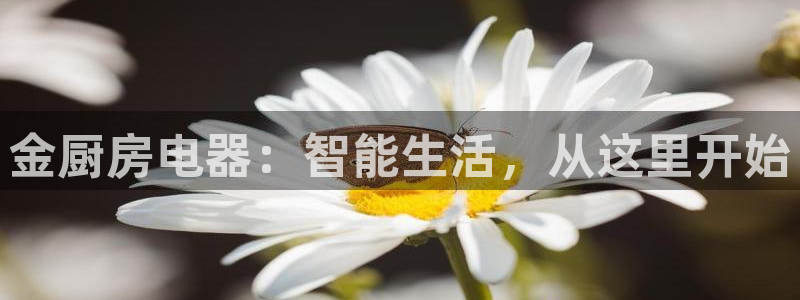 完美风暴 娱乐
