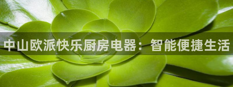 风暴平娱乐
