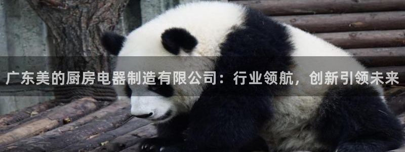 风暴娱乐右5指尖