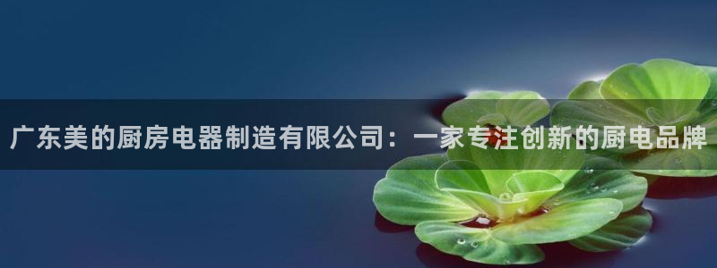 万万娱乐风暴