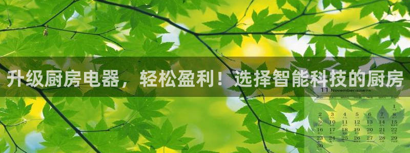 娱乐风暴系统