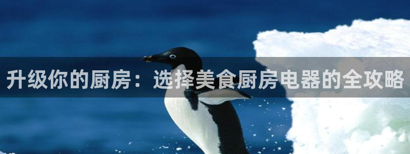 风暴官方娱乐
