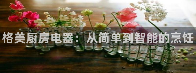 风暴数字娱乐