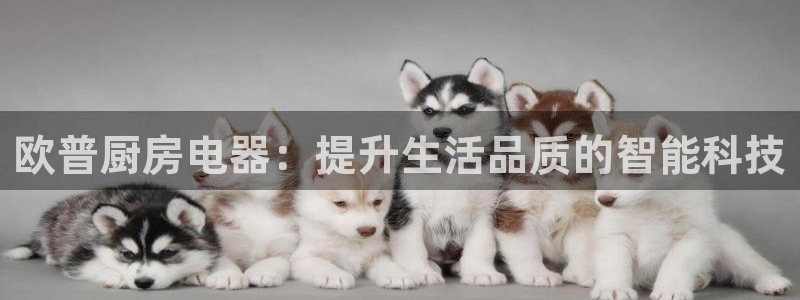 风暴娱乐求333OOc