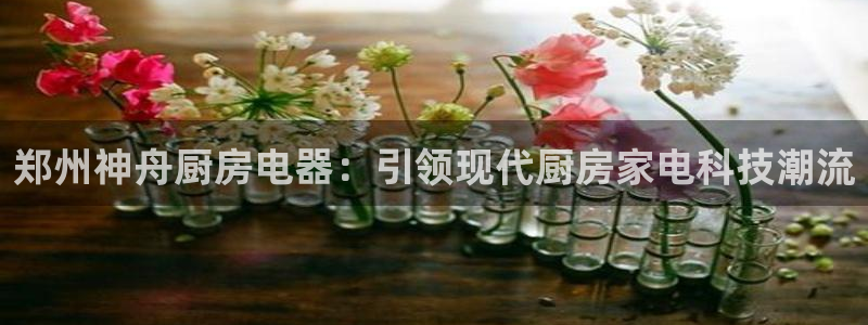 风暴平娱乐