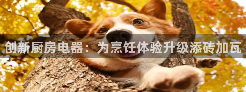 风暴娱乐拉菲8