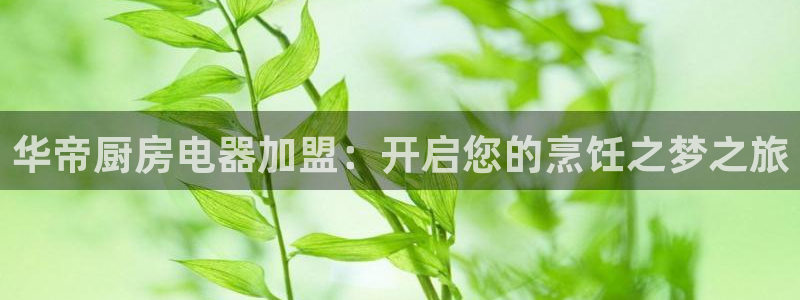 风暴娱乐求333OOa