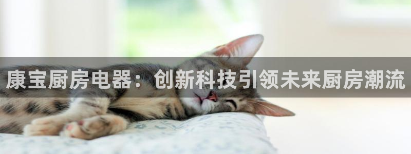 风暴娱乐网
