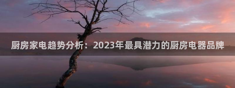 风暴娱乐老板