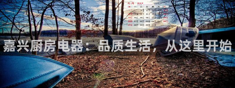 风暴娱乐下载地址