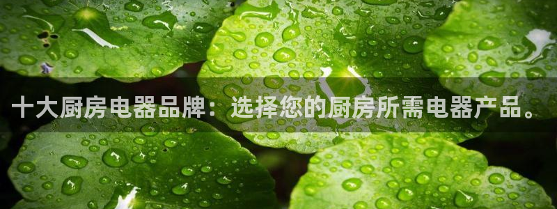 风暴娱乐测速