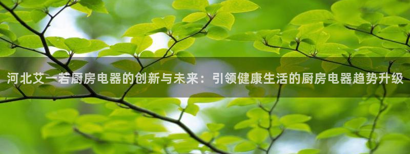 风暴娱乐40996