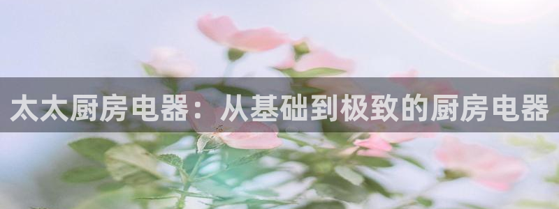 娱乐风暴系统