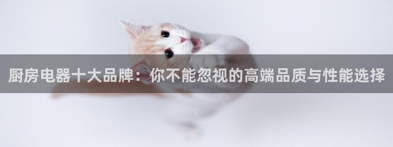 风暴娱乐主管是谁