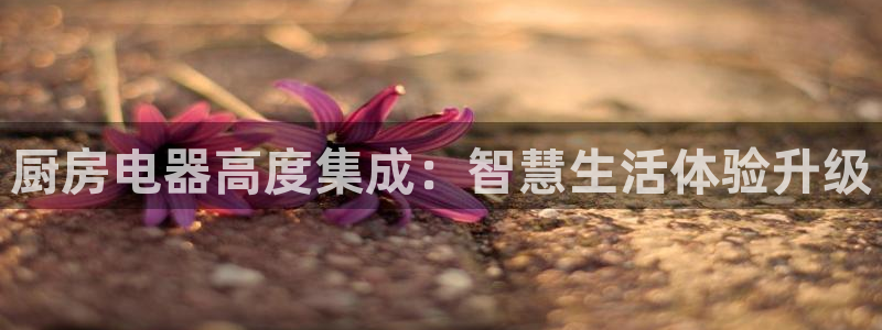 风暴娱乐平台官网登陆