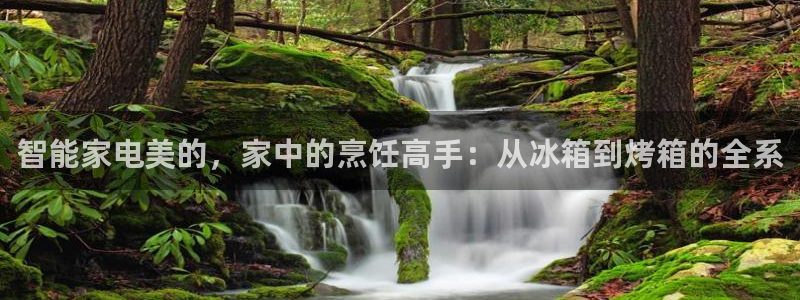 4120051风暴娱乐