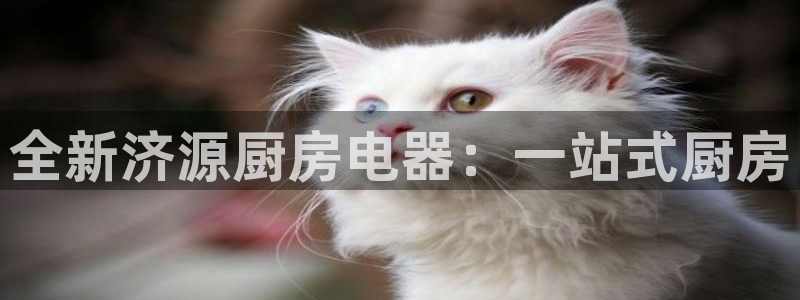 风暴娱乐 北京