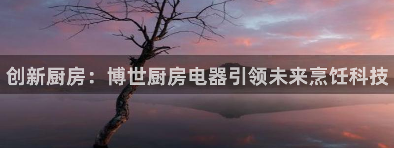 4120051风暴娱乐