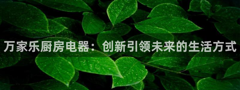 风暴娱乐厅